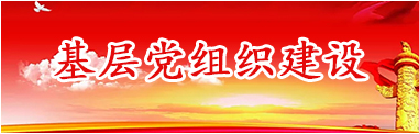 基层党组织建设